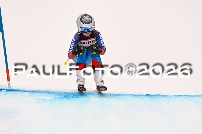 Ziener Kids-Cross Reg 4, M/OL U12 Race Cross 2026