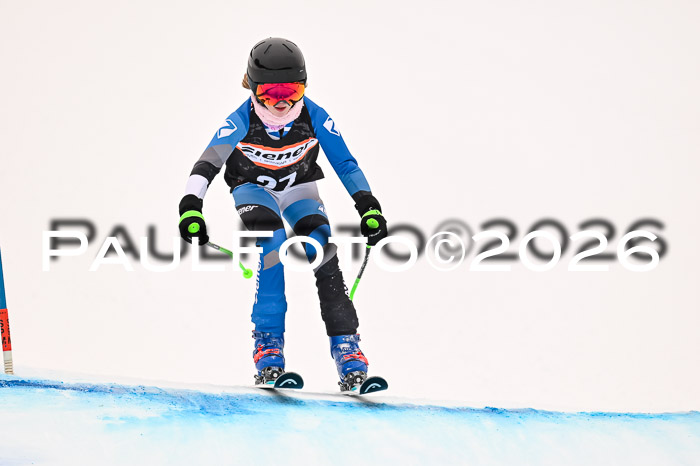 Ziener Kids-Cross Reg 4, M/OL U12 Race Cross 2026