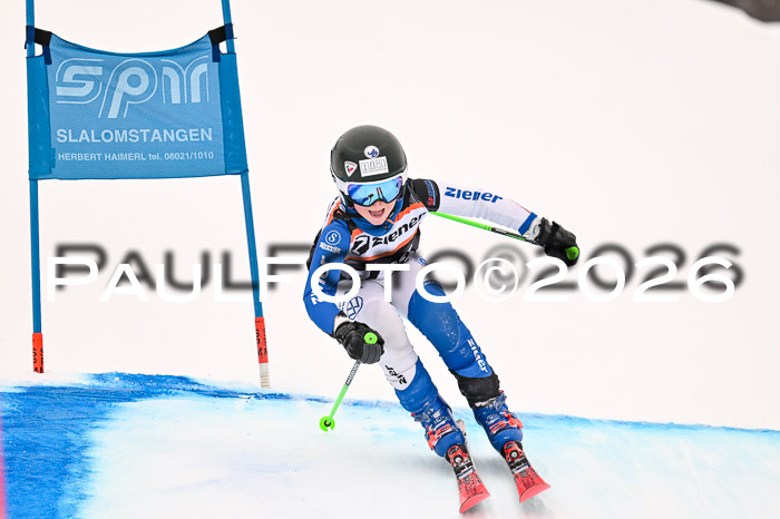 Ziener Kids-Cross Reg 4, M/OL U12 Race Cross 2026