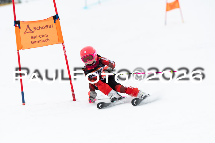 Ziener Cup 2 RS kühtai, 24.01.2026