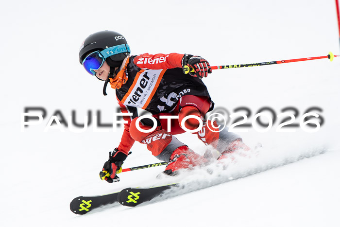 Ziener Cup 2 RS kühtai, 24.01.2026