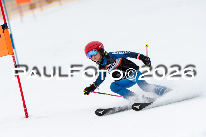 Ziener Cup 2 RS kühtai, 24.01.2026