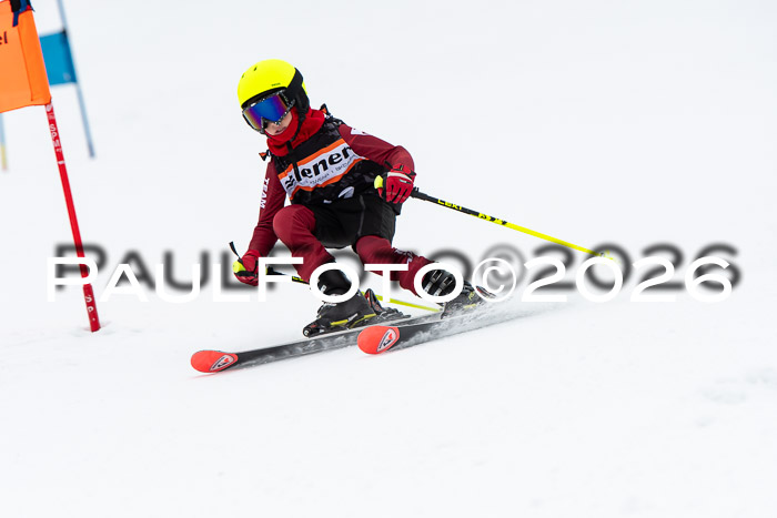 Ziener Cup 2 RS kühtai, 24.01.2026