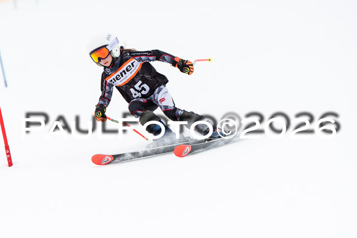 Ziener Cup 2 RS kühtai, 24.01.2026