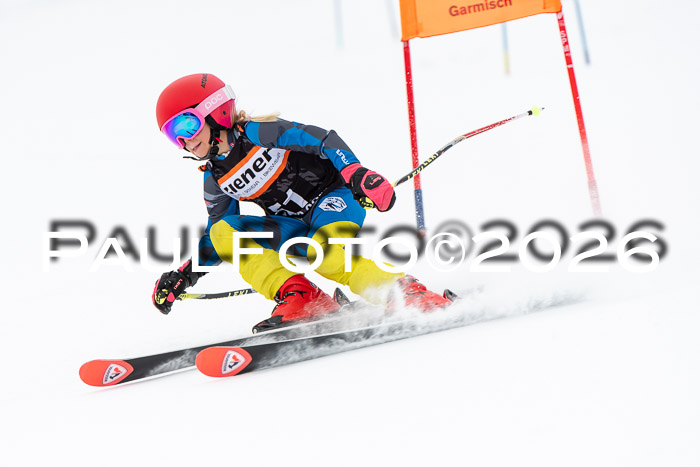 Ziener Cup 2 RS kühtai, 24.01.2026