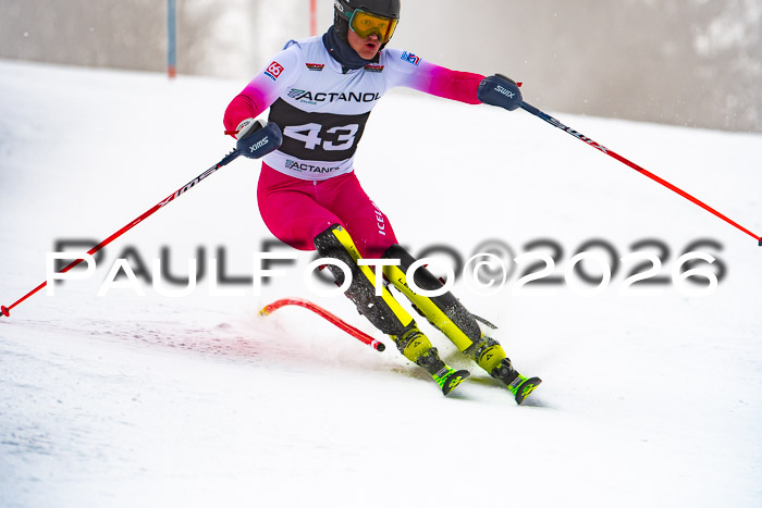 FIS Slalom Damen + Herren, 25.01.26