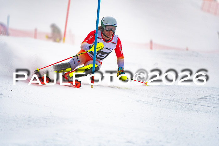 FIS Slalom Damen + Herren, 25.01.26