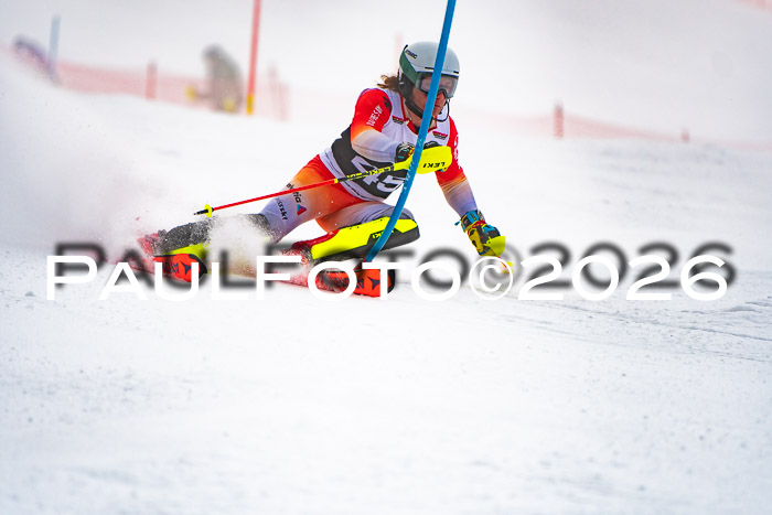 FIS Slalom Damen + Herren, 25.01.26