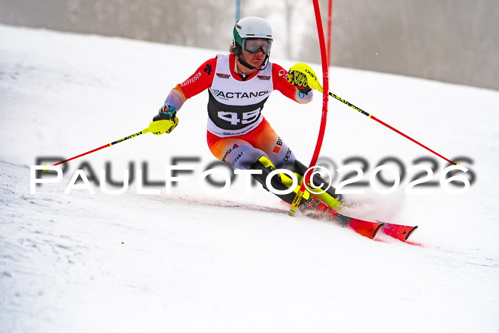 FIS Slalom Damen + Herren, 25.01.26