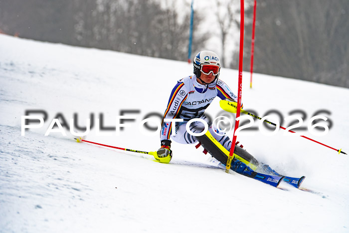 FIS Slalom Damen + Herren, 25.01.26
