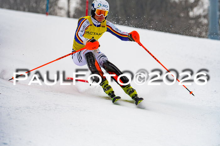FIS Slalom Damen + Herren, 25.01.26