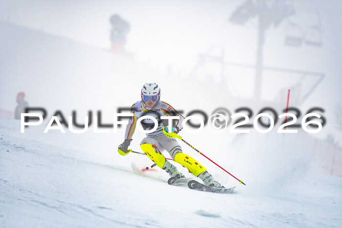 FIS Slalom Damen + Herren, 25.01.26