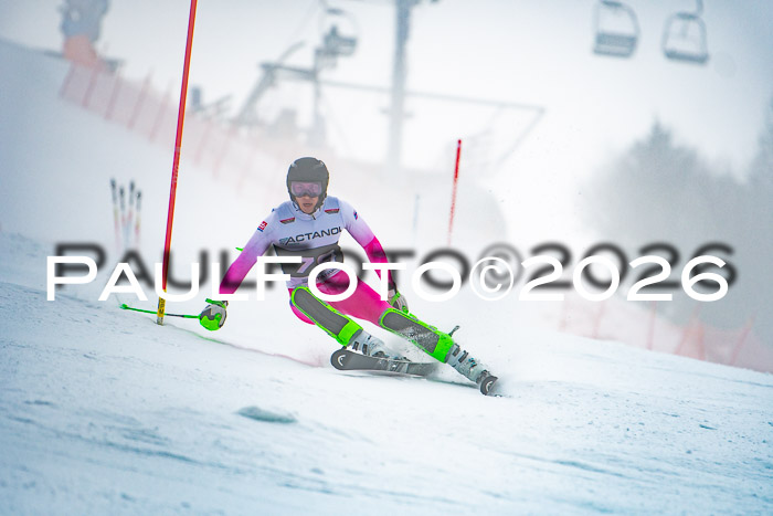 FIS Slalom Damen + Herren, 25.01.26