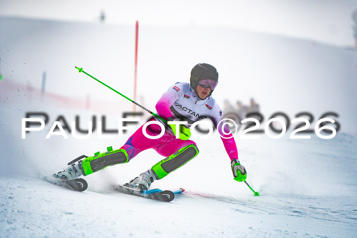 FIS Slalom Damen + Herren, 25.01.26