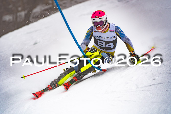 FIS Slalom Damen + Herren, 25.01.26