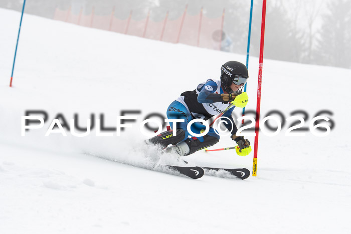 FIS Slalom Damen + Herren, 25.01.26