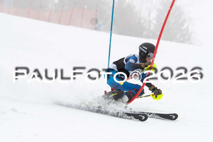 FIS Slalom Damen + Herren, 25.01.26