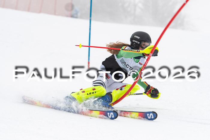 FIS Slalom Damen + Herren, 25.01.26