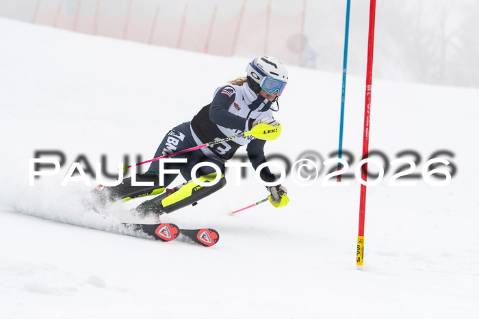 FIS Slalom Damen + Herren, 25.01.26
