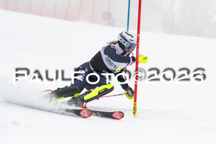 FIS Slalom Damen + Herren, 25.01.26