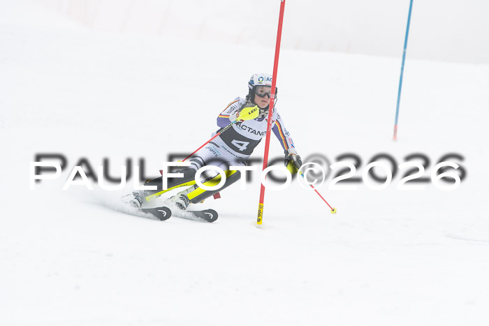 FIS Slalom Damen + Herren, 25.01.26