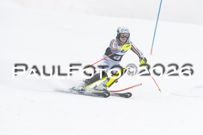FIS Slalom Damen + Herren, 25.01.26