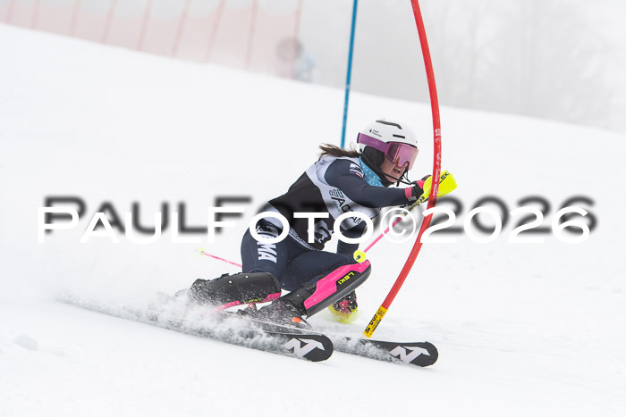 FIS Slalom Damen + Herren, 25.01.26