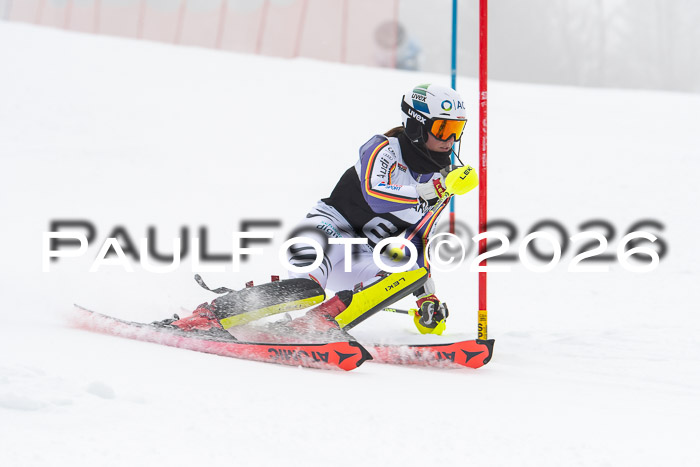 FIS Slalom Damen + Herren, 25.01.26