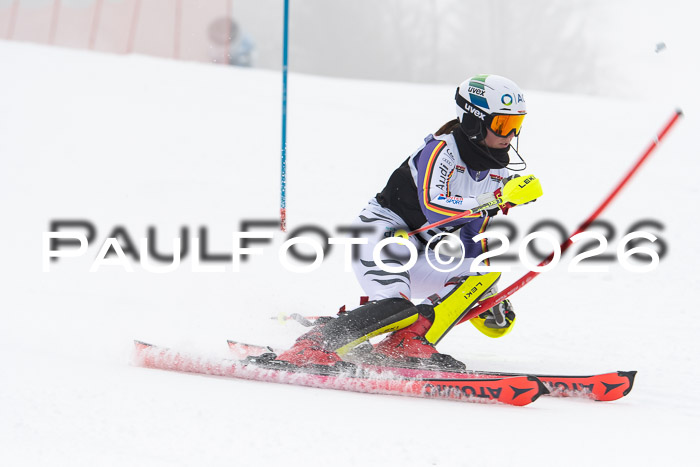 FIS Slalom Damen + Herren, 25.01.26