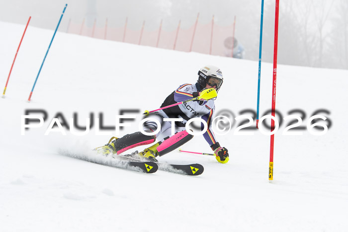 FIS Slalom Damen + Herren, 25.01.26