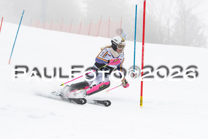 FIS Slalom Damen + Herren, 25.01.26