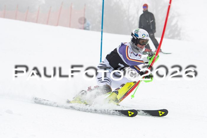 FIS Slalom Damen + Herren, 25.01.26