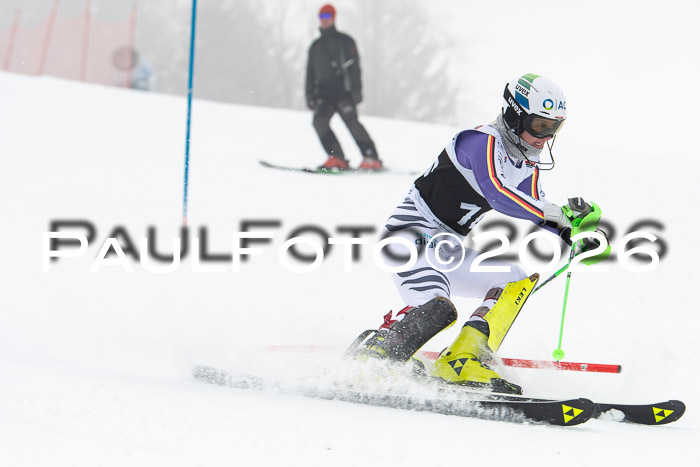 FIS Slalom Damen + Herren, 25.01.26