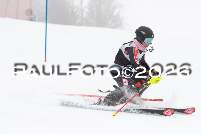 FIS Slalom Damen + Herren, 25.01.26