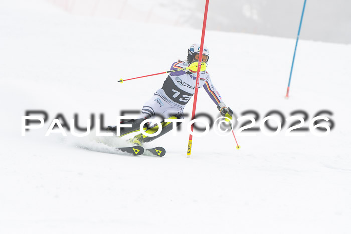 FIS Slalom Damen + Herren, 25.01.26