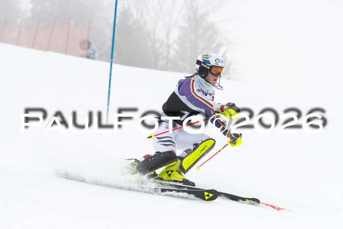 FIS Slalom Damen + Herren, 25.01.26