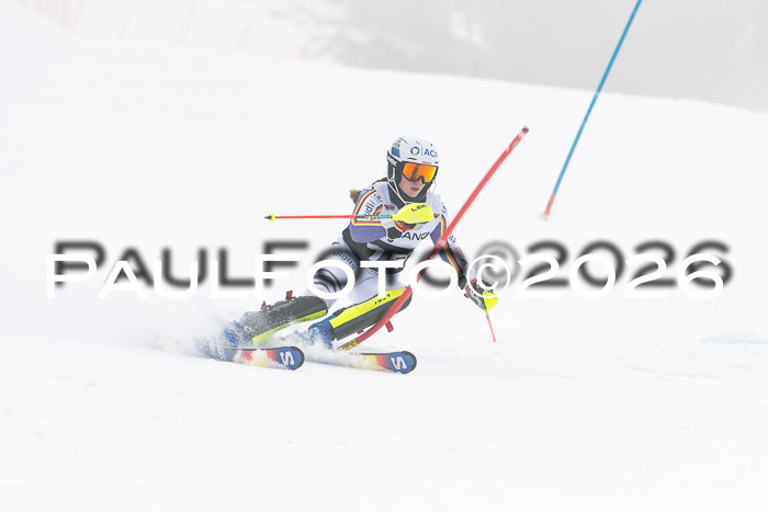FIS Slalom Damen + Herren, 25.01.26