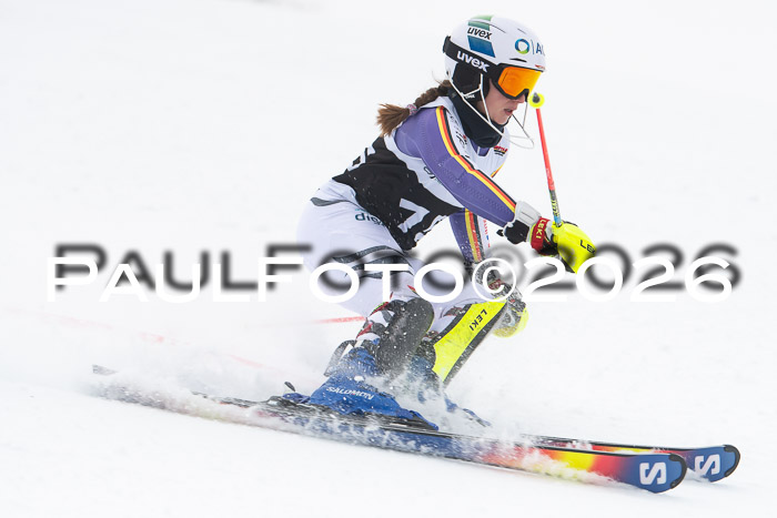 FIS Slalom Damen + Herren, 25.01.26