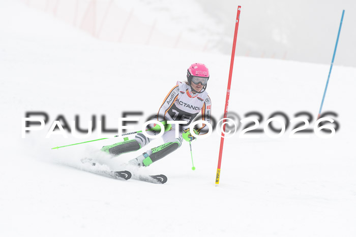 FIS Slalom Damen + Herren, 25.01.26