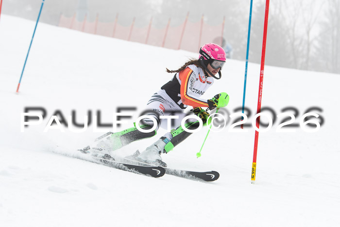 FIS Slalom Damen + Herren, 25.01.26