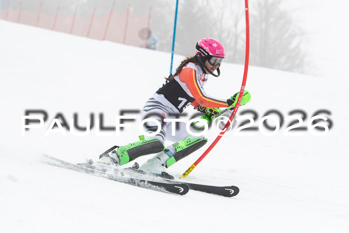 FIS Slalom Damen + Herren, 25.01.26