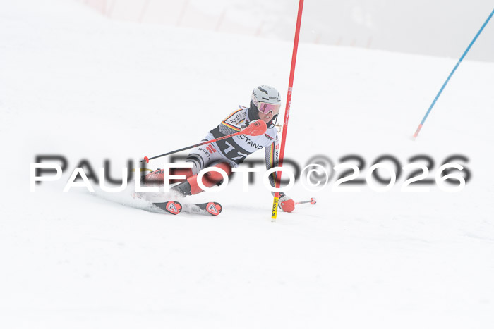 FIS Slalom Damen + Herren, 25.01.26