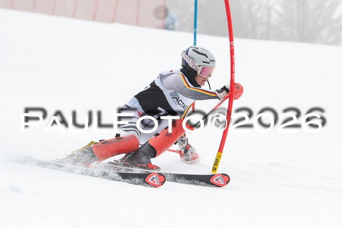 FIS Slalom Damen + Herren, 25.01.26