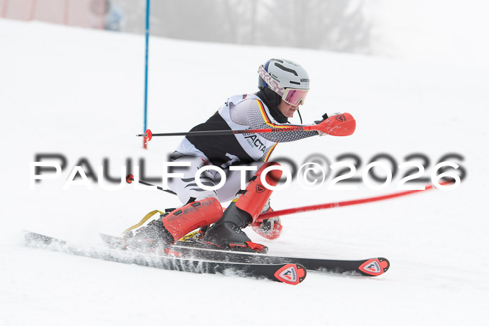 FIS Slalom Damen + Herren, 25.01.26