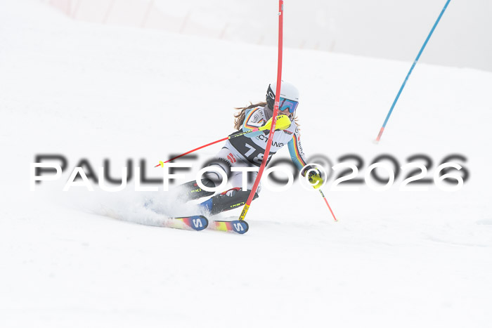 FIS Slalom Damen + Herren, 25.01.26