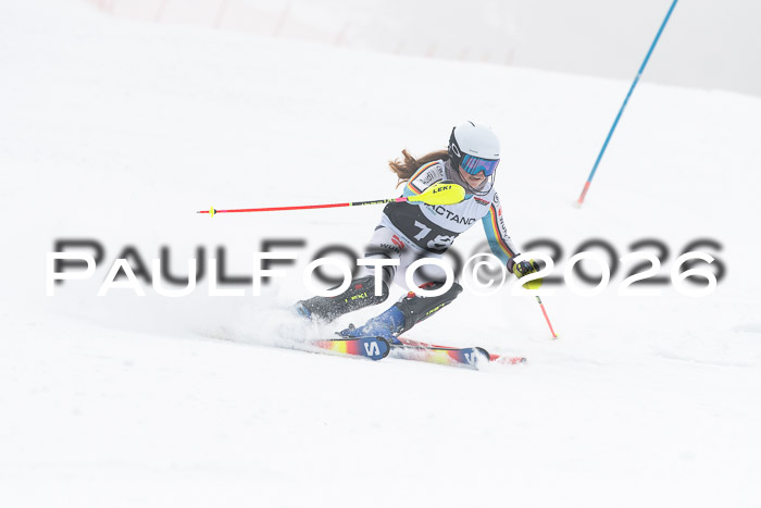 FIS Slalom Damen + Herren, 25.01.26