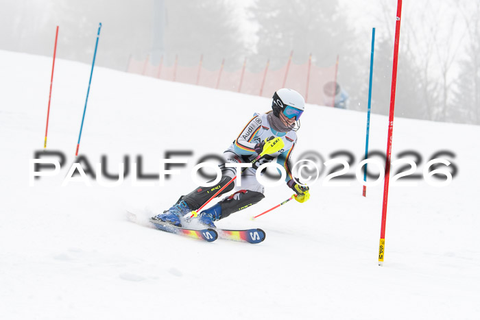 FIS Slalom Damen + Herren, 25.01.26