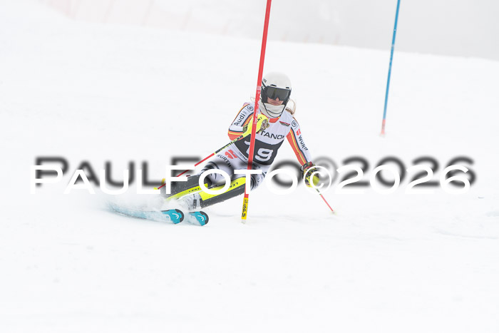 FIS Slalom Damen + Herren, 25.01.26