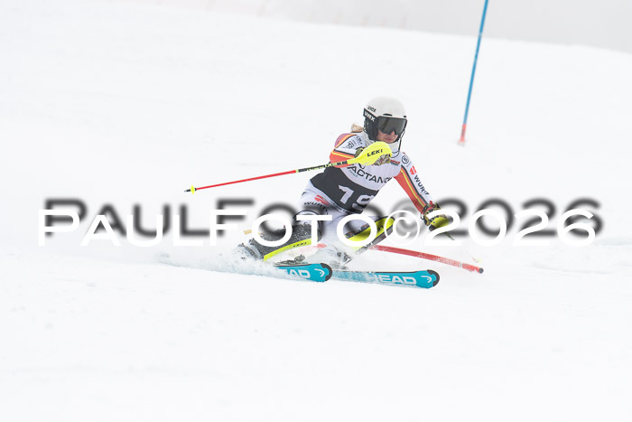 FIS Slalom Damen + Herren, 25.01.26