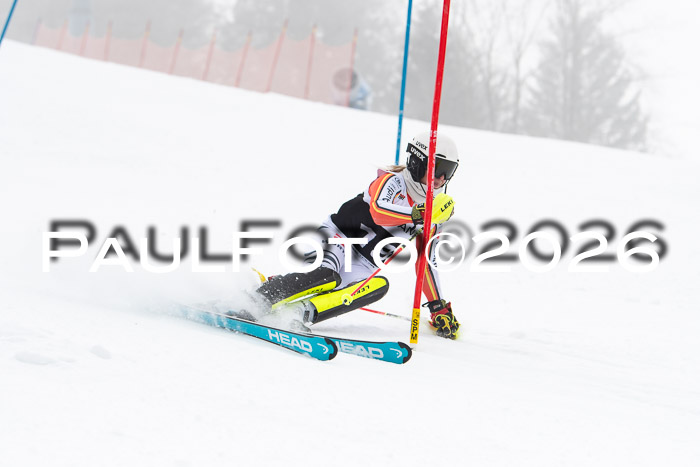 FIS Slalom Damen + Herren, 25.01.26